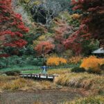 Salvatore Cinquegrana Instagram - Il surry del villaggio della foglia non esiste, non può farti del male. Cit. Tokyo, Japan
