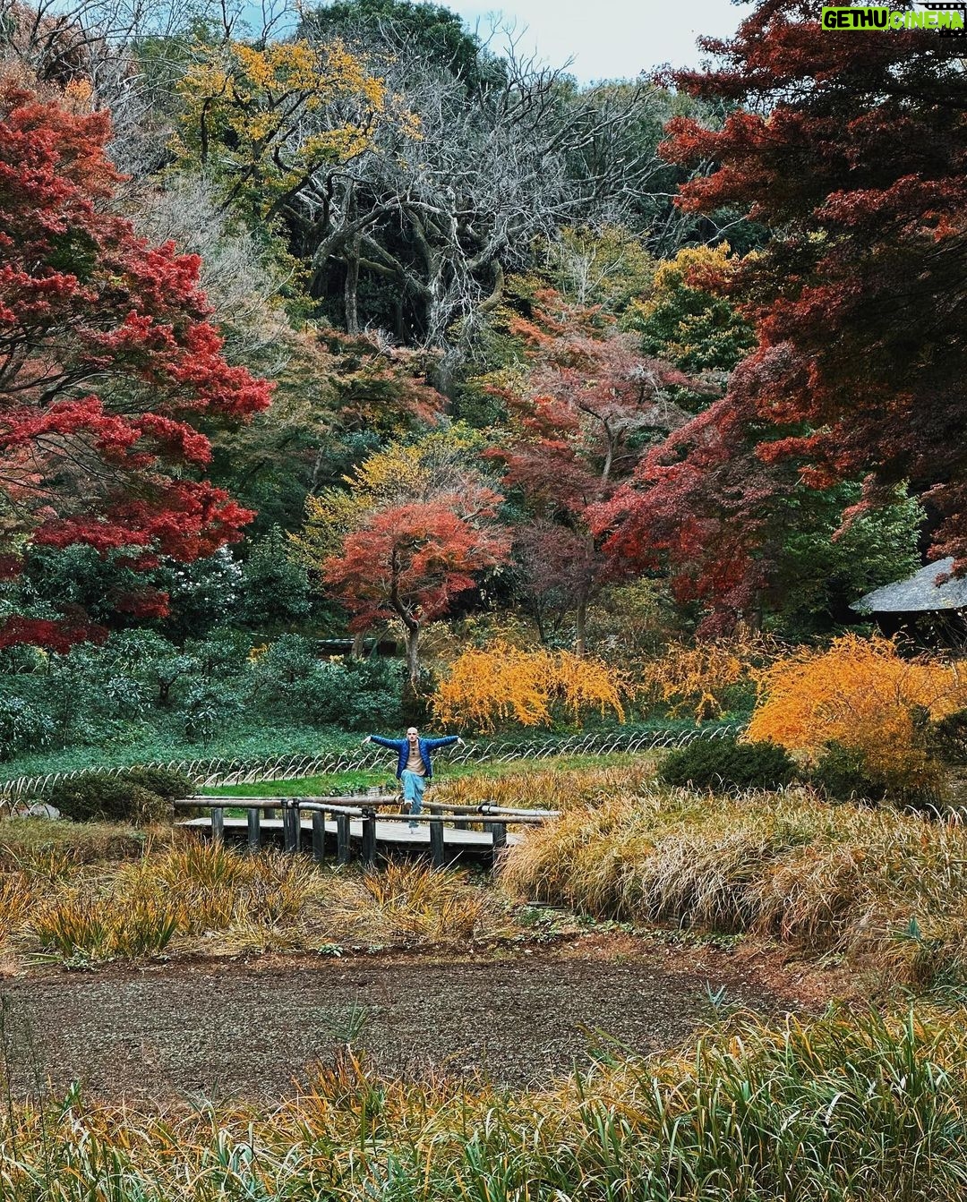 Salvatore Cinquegrana Instagram - Il surry del villaggio della foglia non esiste, non può farti del male. Cit. Tokyo, Japan