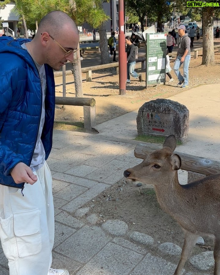 Salvatore Cinquegrana Instagram - io 🤝 🦌 Nara Park
