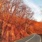 Salvatore Cinquegrana Instagram - empty roads appreciation dump Virginia USA