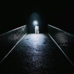 Salvatore Cinquegrana Instagram - nightime adventure in Fujinomiya 🌒🌌 白糸自然公園
