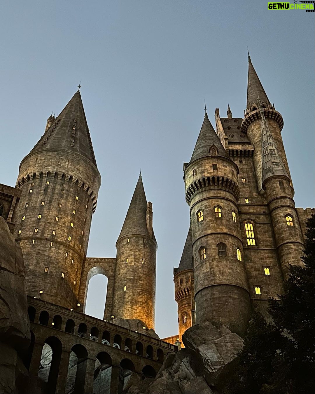 Salvatore Cinquegrana Instagram - Ero sulla weasley mobile con il Ron nazionale quando ci hanno pullappato dei goblin… E niente, ci siamo schiantati Wizarding World of Harry Potter, Universal Studios, Osaka