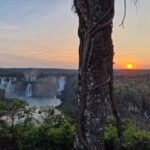 Salvatore Esposito Instagram - Dia 2 : Iguaçu 🇧🇷 Una meraviglia della natura , la potenza delle cascate incontra un parco naturale protetto e con tantissimi animali in via d'estinzione. Senza fiato 🖤 Cataratas De Foz Do Iguaçu