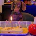 Salvatore Esposito Instagram - Happy birthday my little , cute , crazy and lovely Lola !!! 1 year of 🩷 Italy