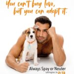 Sam Asghari Instagram – Actor @samasghari says Some Loves Last…adopt, don’t shop! 🐶

We’re collabing with the star to show you that the perfect addition to your family shouldn’t come from a breeder.