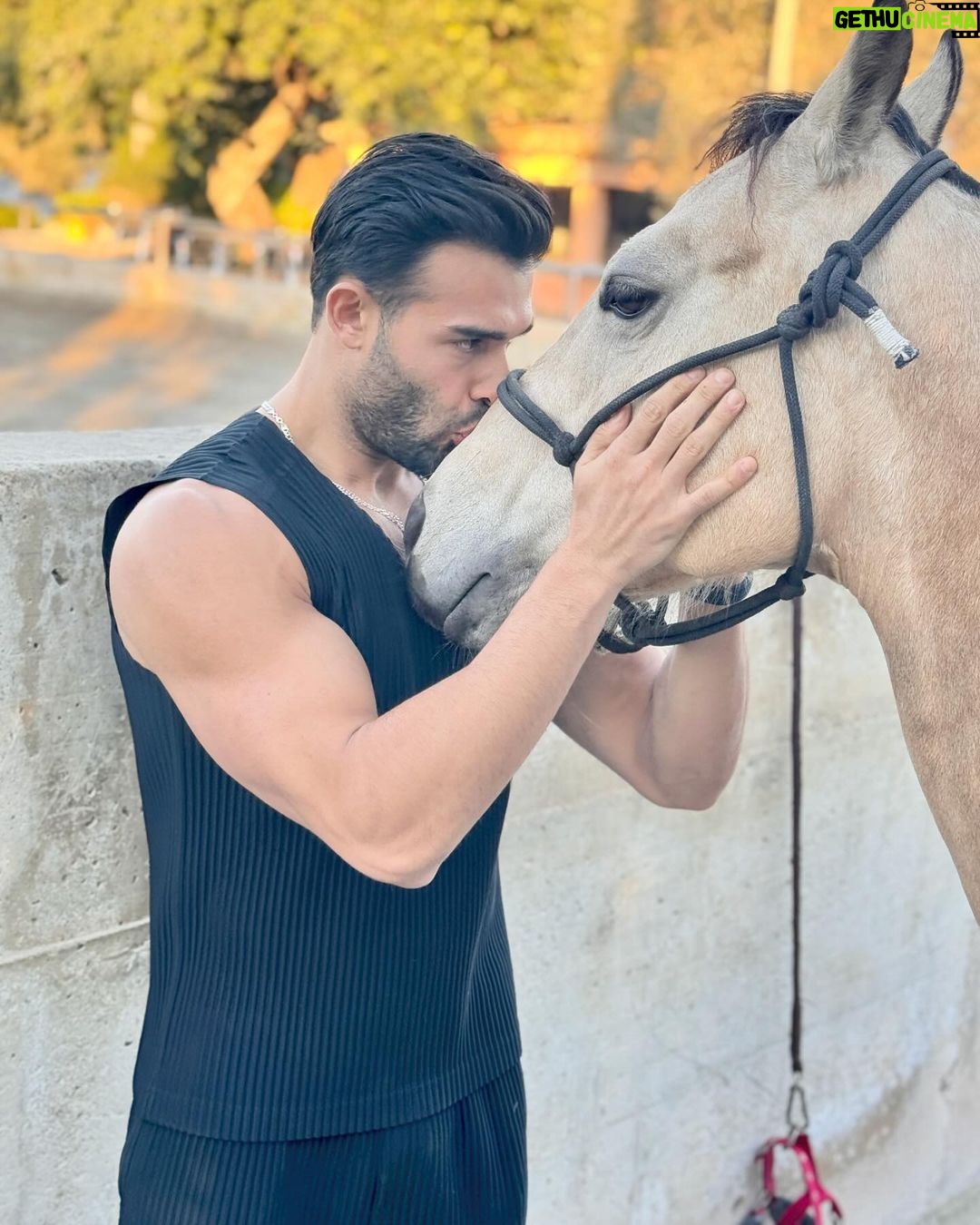 Sam Asghari Instagram - gracias mallorca españa 🇪🇸🏰🐴