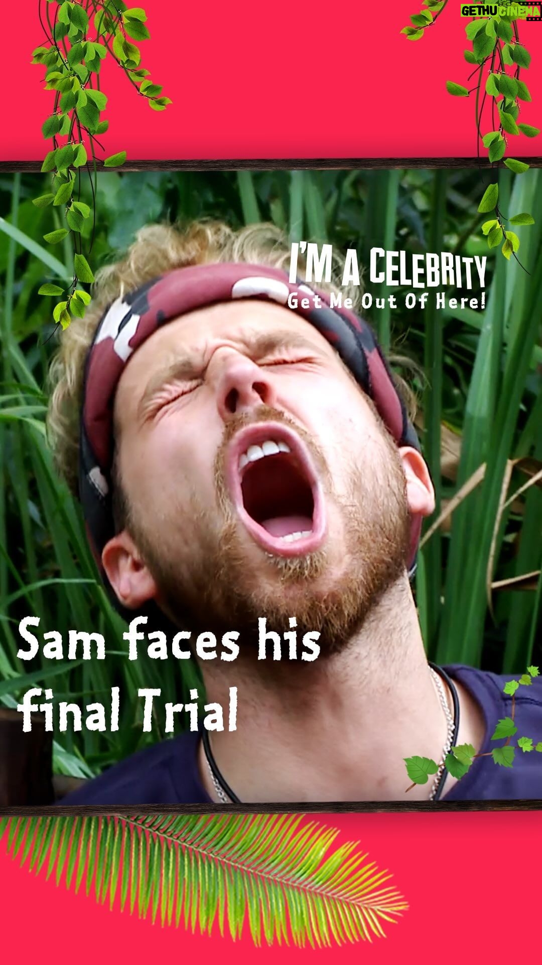 Sam Thompson Instagram - Bone apple teeth, Sam 🥲 #ImACeleb