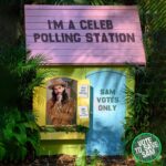 Sam Thompson Instagram - The polling station is now OPEN! Vote by clicking the link in my bio now! Thank you for all the support 🙏💫