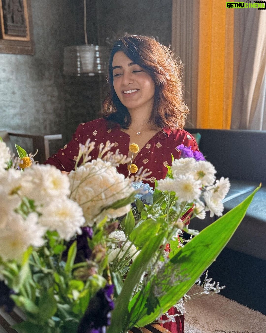 Samantha Instagram - Those mixed feelings when you love these pretty things but are scared AF because the last time, they sent you to the Emergency room. Like who the hell is allergic to flowers?! Tsk 😒