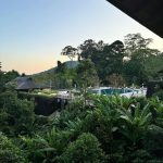 Samantha Instagram - Forever seeking the morning sun 🌞 The best kind of mornings✨