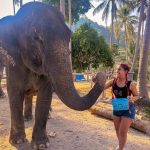 Sameeksha Sud Instagram – What a lovely experience of taking care  of these cute 💞elephants,🐘 in their actual and natural habitat. They are well taken care of and what i learnt about elephants are they are very generous and foody… (just like me😜)
Place was worth visiting… ❤️ 

#elephantsantuary #phuket #wildlife #love #elephant #care #naturalhabitat #thailand #nature