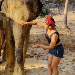 Sameeksha Sud Instagram – What a lovely experience of taking care  of these cute 💞elephants,🐘 in their actual and natural habitat. They are well taken care of and what i learnt about elephants are they are very generous and foody… (just like me😜)
Place was worth visiting… ❤️ 

#elephantsantuary #phuket #wildlife #love #elephant #care #naturalhabitat #thailand #nature