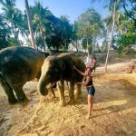 Sameeksha Sud Instagram – What a lovely experience of taking care  of these cute 💞elephants,🐘 in their actual and natural habitat. They are well taken care of and what i learnt about elephants are they are very generous and foody… (just like me😜)
Place was worth visiting… ❤️ 

#elephantsantuary #phuket #wildlife #love #elephant #care #naturalhabitat #thailand #nature
