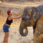 Sameeksha Sud Instagram - What a lovely experience of taking care of these cute 💞elephants,🐘 in their actual and natural habitat. They are well taken care of and what i learnt about elephants are they are very generous and foody… (just like me😜) Place was worth visiting… ❤️ #elephantsantuary #phuket #wildlife #love #elephant #care #naturalhabitat #thailand #nature