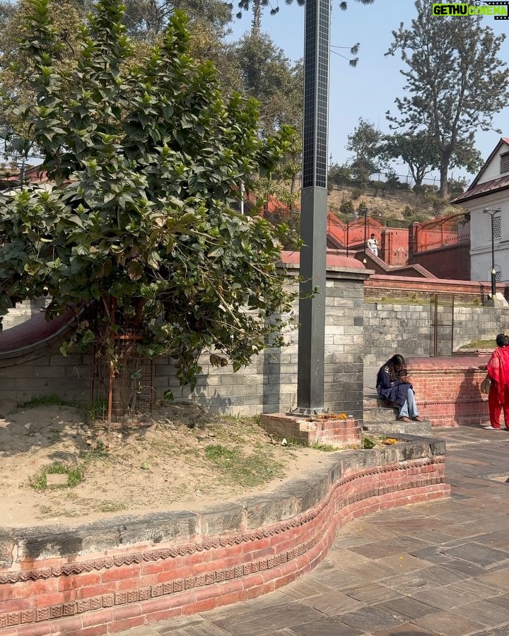 Sameeksha Sud Instagram - Pashupatinath temple 🛕 #nepal #spritualjourney