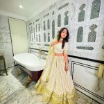 Sameeksha Sud Instagram - Happy Dhanteras… 🤍 #indianfestival #pictureoftheday Outfit @rental_by_bds_udaipur_ Redisson Blue Udaipur