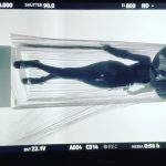 Sana Minatozaki Instagram -
