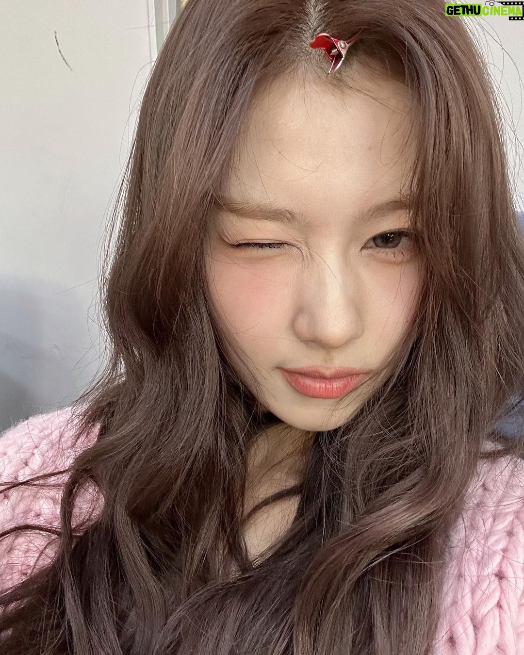Sana Minatozaki Instagram - 내 취향 가득📦🤎🧶🎀🪻🌬️🩵