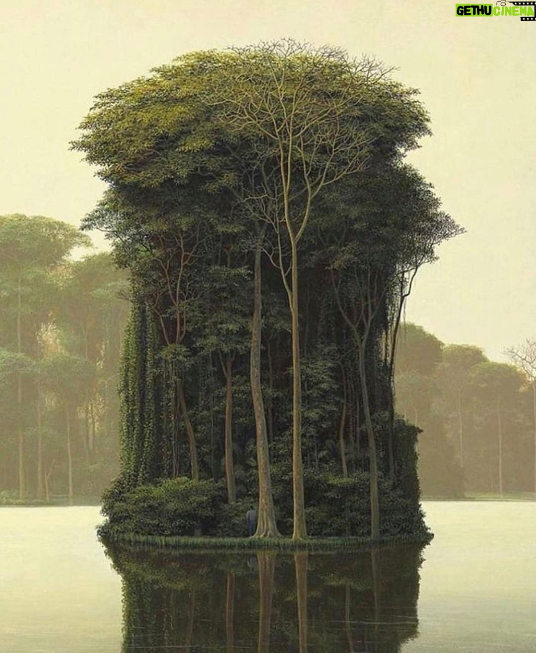 Sanaa Lathan Instagram - #Repost @subtle_energy “If people see how we're all interconnected and connected with Nature, we wouldn't have an environmental crisis, we wouldn't have two dozen wars all over the world." - Stanley Krippner Art by @tomassanchez48