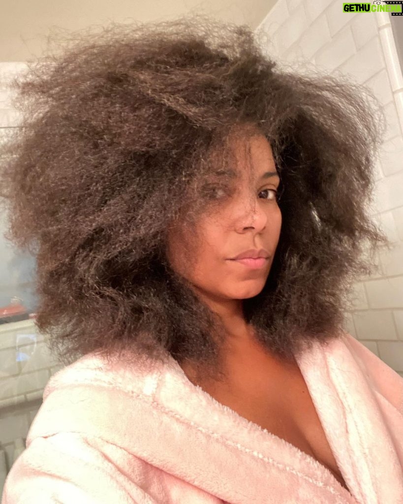 Sanaa Lathan Instagram - Good morning. 3 years after shaving it off. Protective styles, braids and almost no heat. #nappilyeverafter 💇🏾‍♀❤ New York City, N.Y.