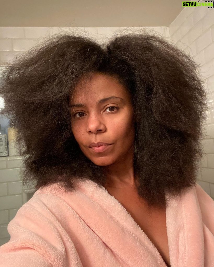 Sanaa Lathan Instagram - Good morning. 3 years after shaving it off. Protective styles, braids and almost no heat. #nappilyeverafter 💇🏾‍♀❤ New York City, N.Y.