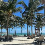 Sanaa Lathan Instagram - Had the most breathtaking week at the @drjoedispenza meditation retreat in Playa del Carmen, Mexico. It was a truly soulful and deeply purifying experience in the most gorgeous setting. @tamietran and I had major revelations, breakthroughs & made some great new friends. And to top it off, on the way back, @drjoedispenza happened to be sitting next to me on the plane! So sorry Dr. Joe for not letting you sleep, and thank you for being so generous answering all my questions. 😅🙏🏾 Playa del Carmen, Quintana Roo