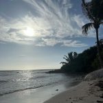 Sanaa Lathan Instagram - Had the most breathtaking week at the @drjoedispenza meditation retreat in Playa del Carmen, Mexico. It was a truly soulful and deeply purifying experience in the most gorgeous setting. @tamietran and I had major revelations, breakthroughs & made some great new friends. And to top it off, on the way back, @drjoedispenza happened to be sitting next to me on the plane! So sorry Dr. Joe for not letting you sleep, and thank you for being so generous answering all my questions. 😅🙏🏾 Playa del Carmen, Quintana Roo