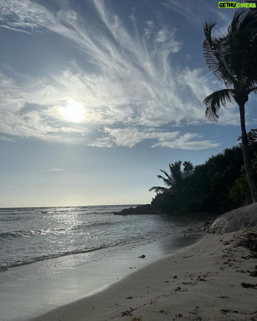Sanaa Lathan Instagram - Had the most breathtaking week at the @drjoedispenza meditation retreat in Playa del Carmen, Mexico. It was a truly soulful and deeply purifying experience in the most gorgeous setting. @tamietran and I had major revelations, breakthroughs & made some great new friends. And to top it off, on the way back, @drjoedispenza happened to be sitting next to me on the plane! So sorry Dr. Joe for not letting you sleep, and thank you for being so generous answering all my questions. 😅🙏🏾 Playa del Carmen, Quintana Roo