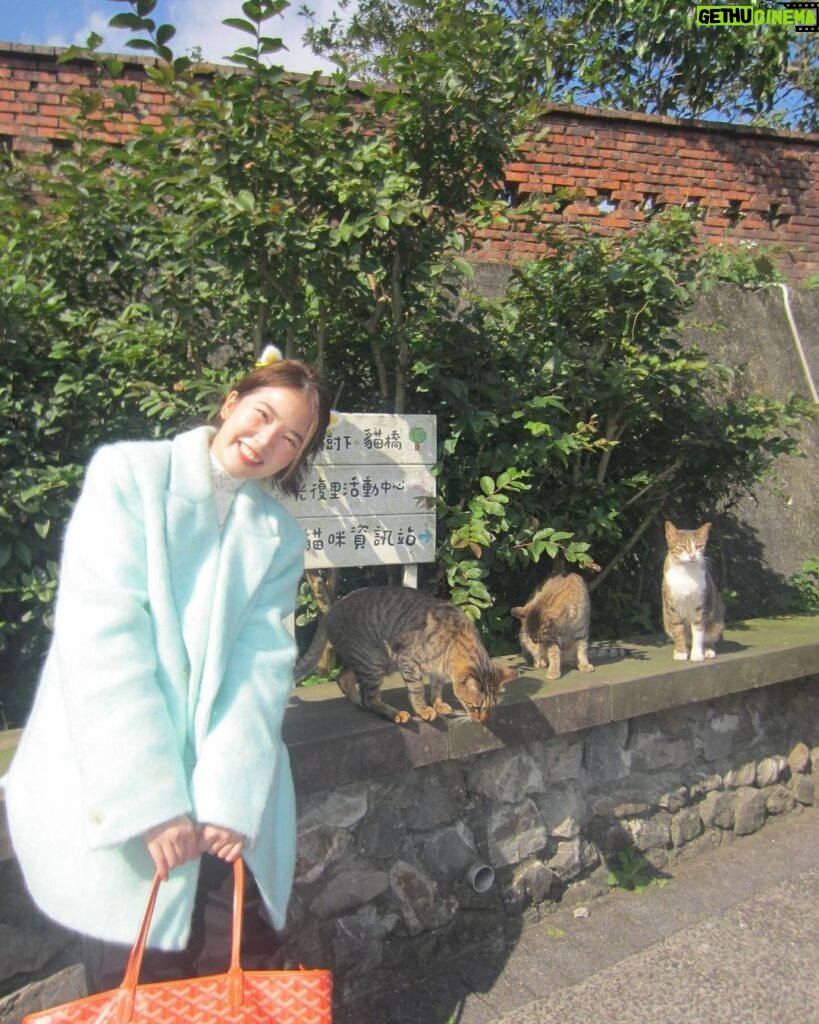 Sananthachat Thanapatpisal Instagram - Meaowwww 🐱🐱🐱🐱 Huotong Cat Village, Taiwan