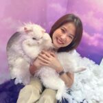 Sananthachat Thanapatpisal Instagram - 🐱💜 Nerdy