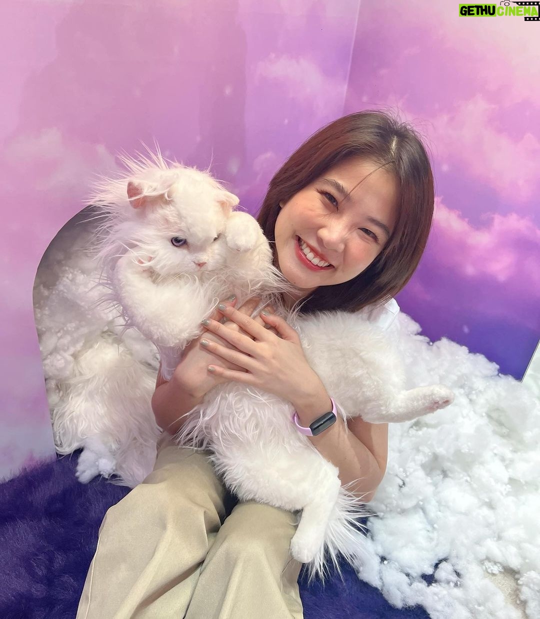 Sananthachat Thanapatpisal Instagram - 🐱💜 Nerdy