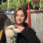 Sanaya Pithawalla Instagram - Flowers grow back even after they are stepped on , So will I 🌺
