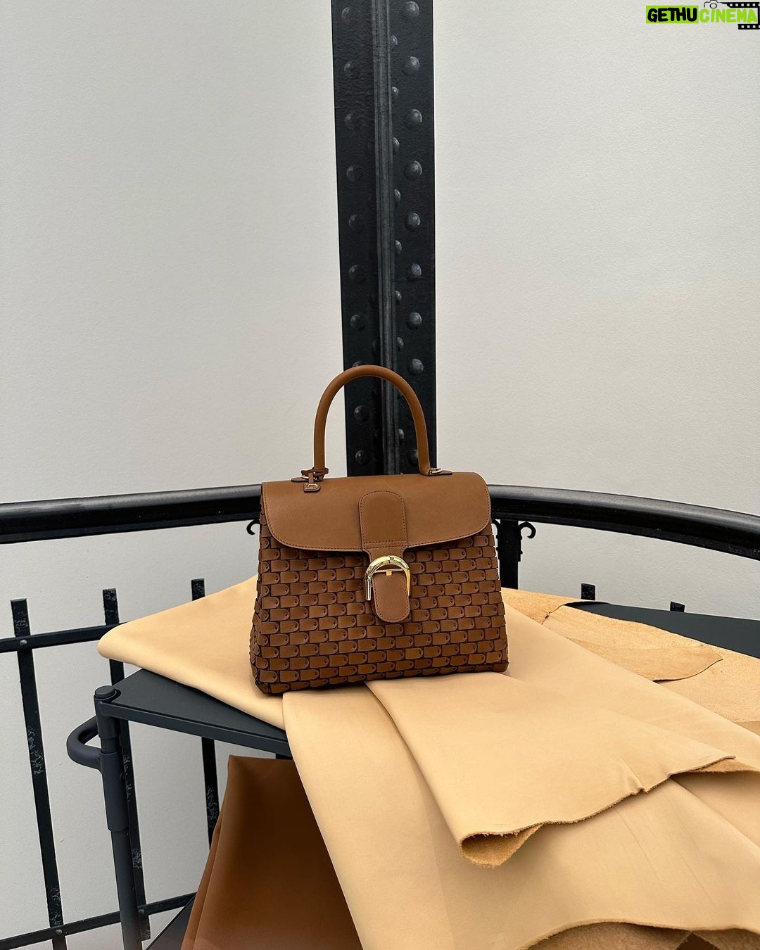 Sandara Park Instagram - Delvaux, my love 🤎 Paris, France