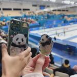 Sandara Park Instagram - 컬링 경기 실제로 처음 봤는데 우리 선수들 진짜 잘한다🥌🥹👍2024 강원 청소년올림픽대회! 자랑스러운 우리 나라 선수들 다 응원합니다~!!! 화이팅~!!! 뭉클🥹🙏🏻 대~한~민~국~!!! 🇰🇷👏🏻👏🏻👏🏻👏🏻👏🏻