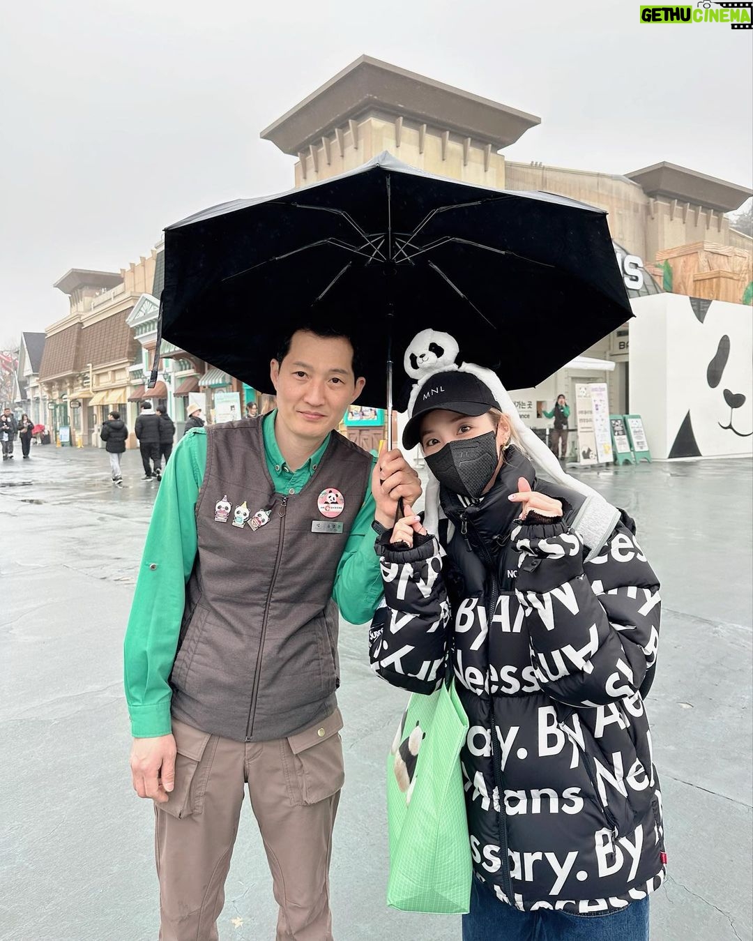 Sandara Park Instagram - 우리 푸 보내기전에 한번 더 보러 다녀왔다🐼🥹♥️ 우연히 마주친 송바오 할부지!!! 🤩 어딘가 수상해 보이는 관광객st 😎 맛뵈기로 넘 귀여운 러바옹 정면샷~!!! 😭😍 두번 줄서서 바오패밀리 전원 영접 성공하고🐼🐼🐼🐼🐼 굿즈도 사고 행복한 뒷모습💘 #바오패밀리 #자이언트판다 #판다 #러바오 #아이바오 #푸바오 #루이바오 #후이바오 #송바오 #산바오 ㅋㅋㅋ 에버랜드