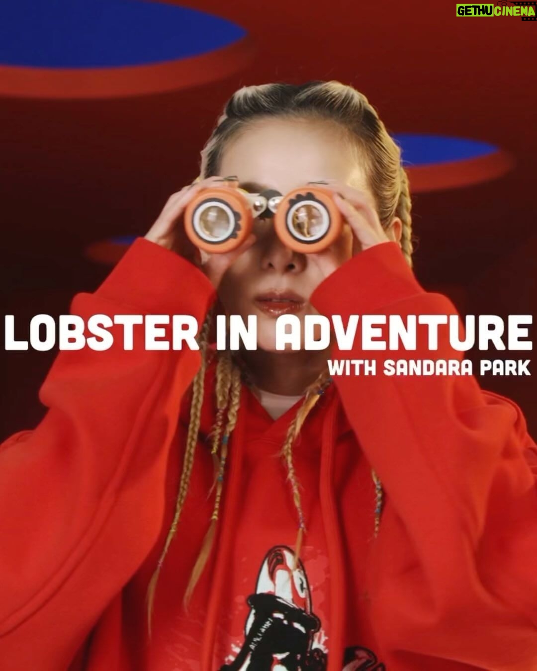 Sandara Park Instagram - 🦞🧡 #adv #adventureinprogress #lobsterinadventure