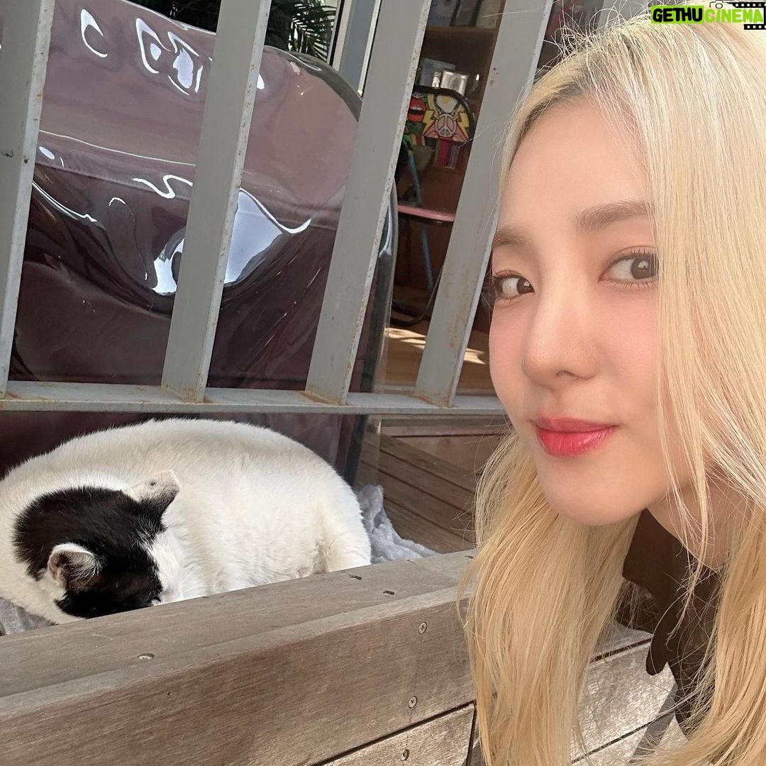 Sandara Park Instagram - 이제 11월이니까 어그 신어야지🍂🍁🔜❄️☃️