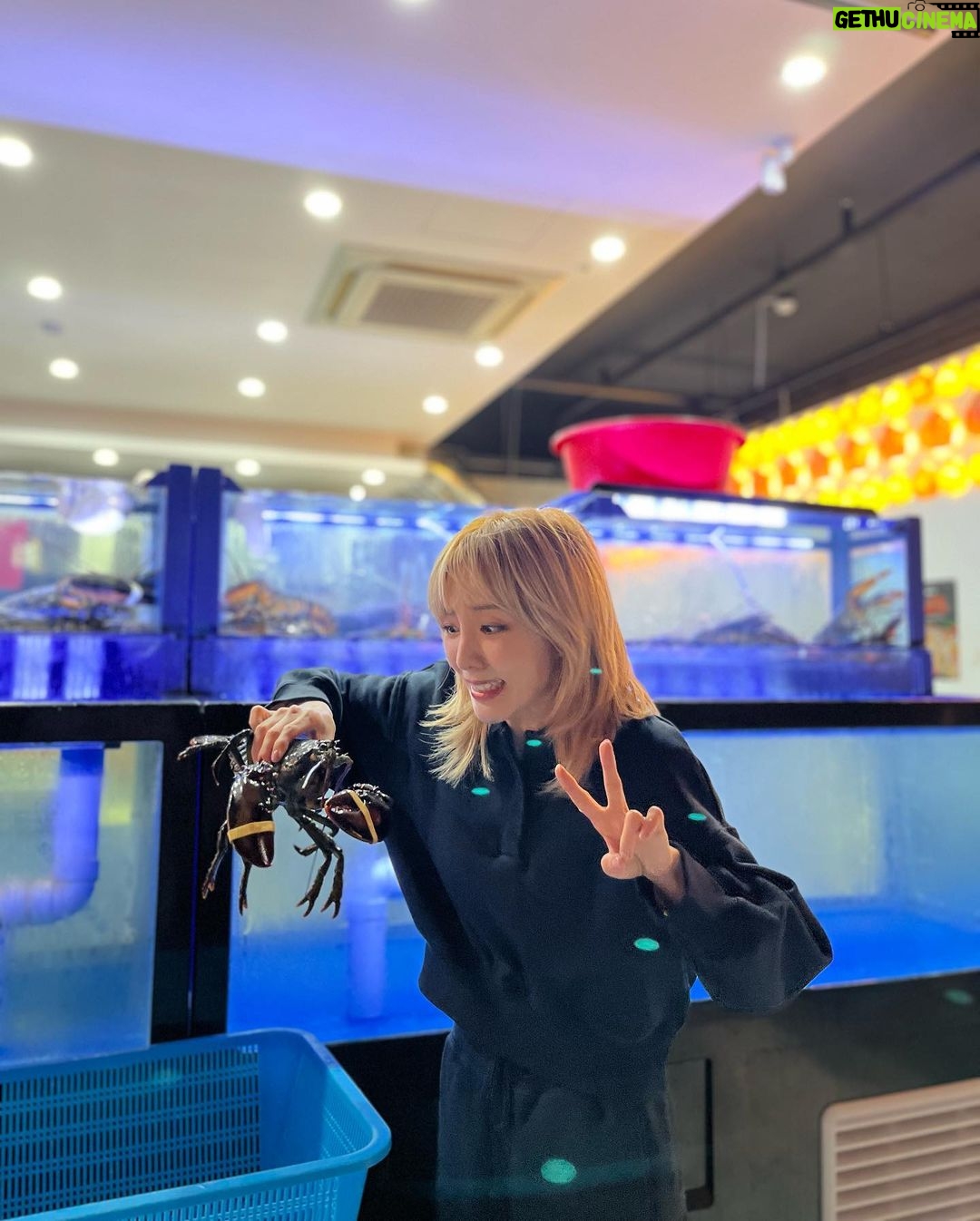 Sandara Park Instagram - 난 ㄱ I ㅊ r 여행이 좋ㅇr… 낭만적이자ㄴr…
