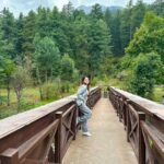 Sandeepa Dhar Instagram - Woke up to this beautiful view in Tangmarg- Gulmarg, Kashmir with @stayvista_official “Suroor”. Amidst towering Pine Trees, away from the hustle-bustle, this stunning property is the perfect place to stay at & the icing on the cake are warm hosts who made my stay so comfortable. ❤️🤗 Have promised to go back in winters, Can’t Wait !!! ❄️☃️ . # host #kashmir #gulmarg #villa