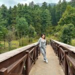 Sandeepa Dhar Instagram – Woke up to this beautiful view in Tangmarg- Gulmarg, Kashmir with @stayvista_official “Suroor”. 
Amidst towering Pine Trees, away from the hustle-bustle, this stunning property is the perfect place to stay at & the icing on the cake are warm hosts who made my stay so comfortable. ❤️🤗
Have promised to go back in winters, Can’t Wait !!! ❄️☃️
.

# host #kashmir #gulmarg #villa