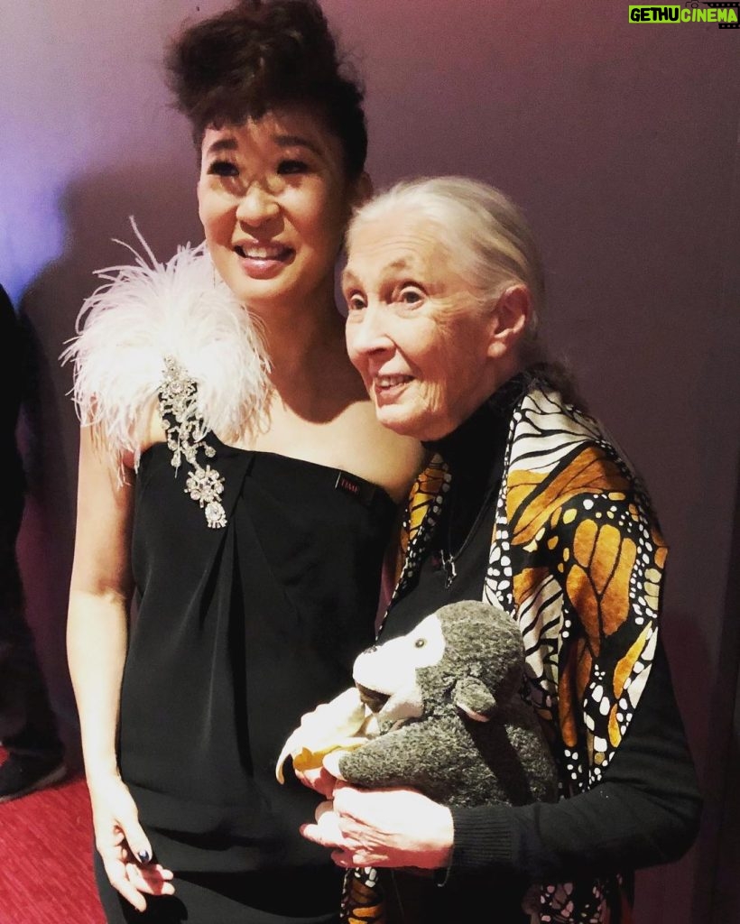 Sandra Oh Instagram - Had the great fortune to meet @janegoodallinst #shewalkswithapes the story of Jane Goodall Dian Fossey Birute Galdikas premieres tonight 🌎 day April 22 9pm @bbcamerica link bio