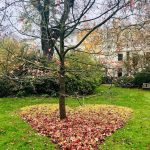 Sandra Oh Instagram - Offering for the day. London garden. A reminder of my Live conversation with @trudy_goodman at @insightlameditation Tomorrow! April 10 6-8pm pst. Pls join love to hear from you. See bio for link