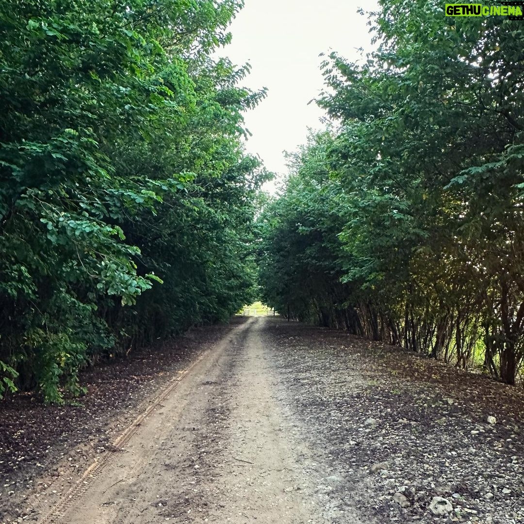 Sandy Instagram - #tb De onde eu não queria ter saído mais… 🌿