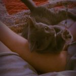 Sandy Instagram - O timing da chegada dessa guriazinha foi inacreditável. Acabou o resto tudo, meu feed virou Tereza e convidados.