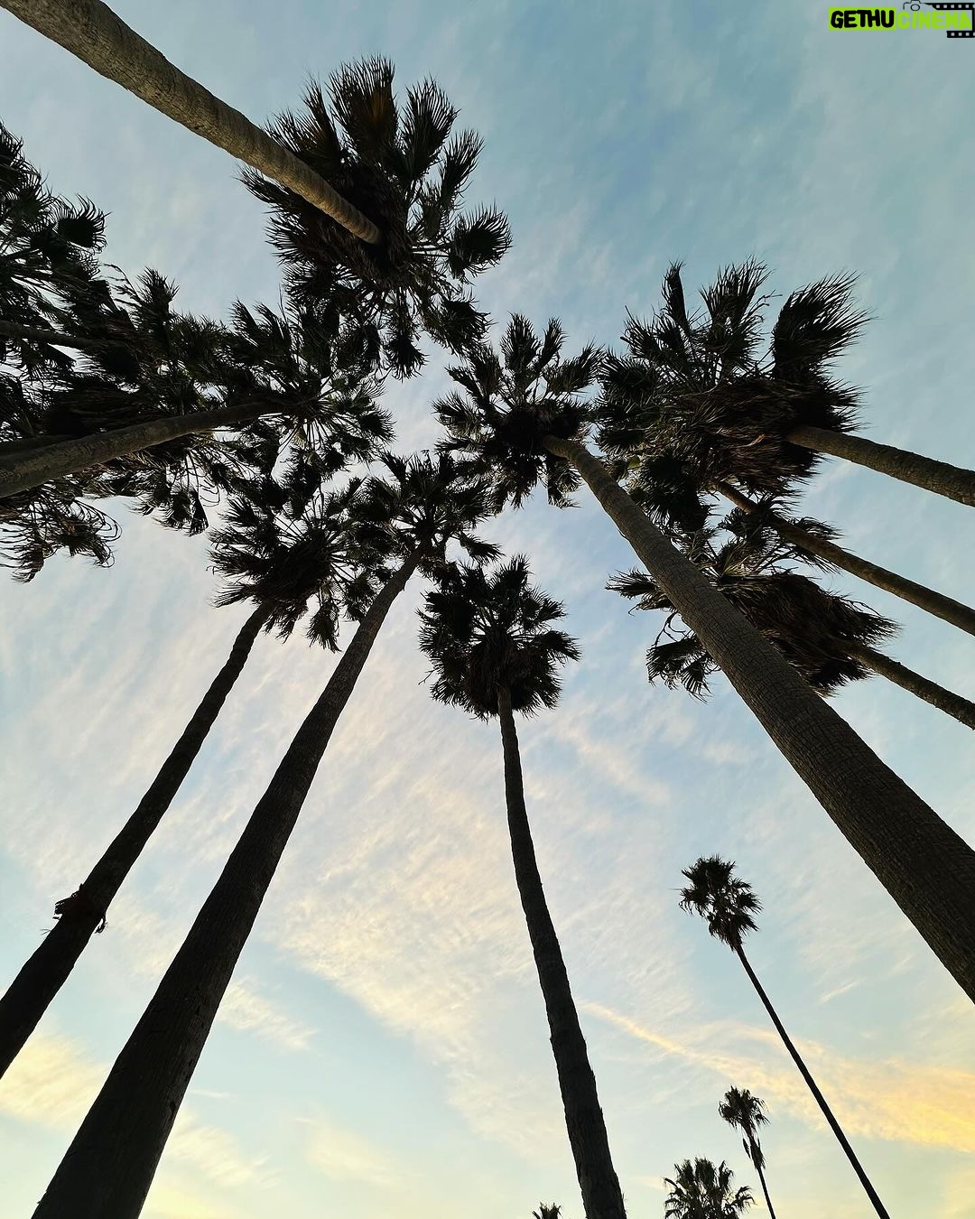 Sandy Instagram - Voltei faz uns 3 dias, mas vale o registro nesse dumpzinho de umas férias-delícia e cheias de pores do sol maravilhosos e gente querida. Bom fim de semana, gente linda! 💜 Los Angeles - California