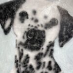 Sang Heon Lee Instagram - Bought a piece, made a piece 🎨🖼️🧑‍🎨 Dalmatian/Artist: @ricardopassaporte Gallery: @duartesequeiragallery Mint/Blueberry Ice cream: @sangheonleesh Sensei/Teacher/스승님: @soohyo_ @kimsoohyo Seoul, South Korea