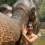 Saniya Iyappan Instagram – 🐘🌿☀️🔋>>>>> Chan Mai, Tailandia