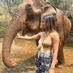 Saniya Iyappan Instagram – 🐘🌿☀️🔋>>>>> Chan Mai, Tailandia