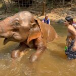 Saniya Iyappan Instagram – 🐘🌿☀️🔋>>>>> Chan Mai, Tailandia