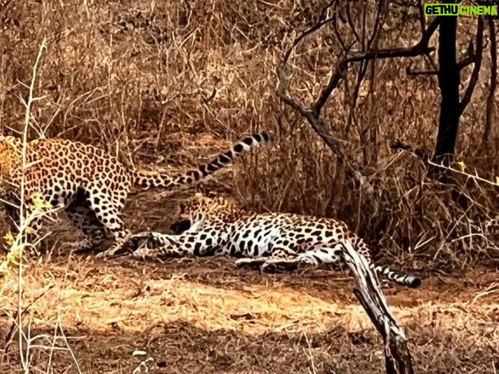 Sanjay Dutt Instagram - With my brother & family Raj Bansal who took me to the beautiful Jhalana for leopard sightings. Thank you for always being there for me and for this beautiful experience.